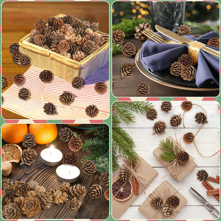 100 Pack Pine Cones, Mini Natural Pine Cones for Christmas Tree, 1.18 in Pine Cones for Crafts, Mini Pinecone Ornaments, Christmas Wreath Craft, Winter Decorations for Home Fall Decor Vase Filler