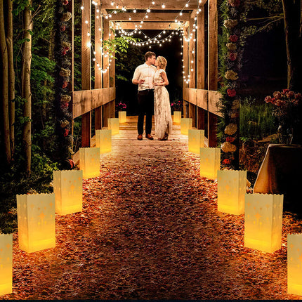 AceList 30 PCS Luminary Bags with 30 PCS Flameless Candles Flickering Tea Lights Candles Battery Operated LED Tea Lights for Wedding Party Valentine's Day, Christmas Decoration - Meteor