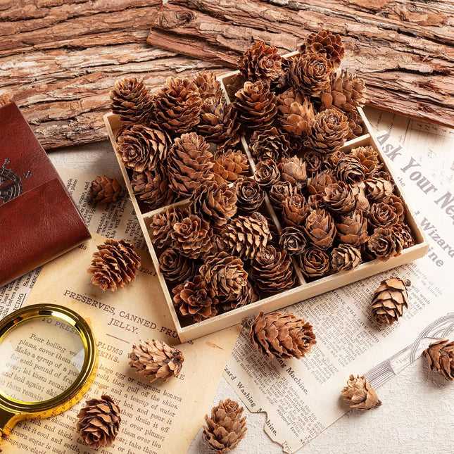 250Pcs Christmas Mini Pine Cones, Small Natural Pine Cones for Christmas Wreath Craft, Tiny Pinecones for Decor Vase Fillers, Thanksgiving, Home Decor