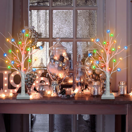 [ Timer ] Ruidazon 2 Pack Lighted Birch Tree, 26" Christmas Birch Tree with 24 Led Red Green Orange Blue Lights Battery Operated Small Christmas Table Tree for Home Christmas Indoor Decoration
