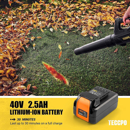 TECCPO 40V Cordless Leaf Blower Brushless, 420 CFM/110 MPH, 2.5Ah Samsung Battery and Charger Included, Fast Installation, 5-Speed Axial Blower, for Lawn Care and Snow Blowing -TDLB4025A