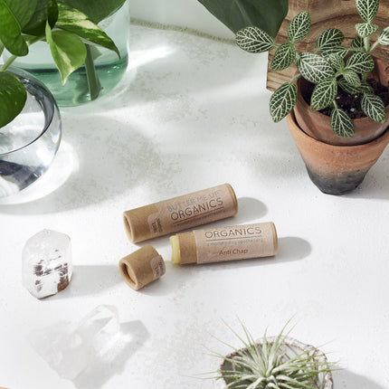 Organic Anti-Chap Lip Balm / Chapped Lips / Organic Lip Moisturizer /