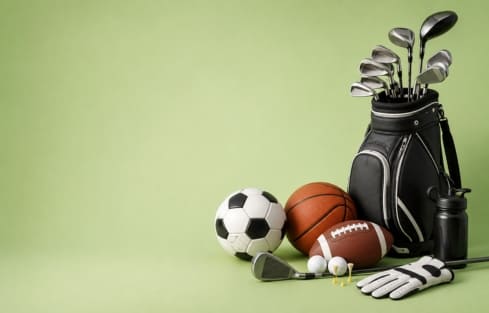 <h3>Sports</h3>