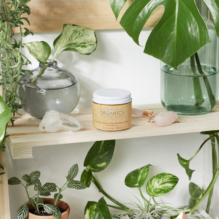 Sea Buckthorn Facial Moisturizer / Organic Face Moisturizer / Facial