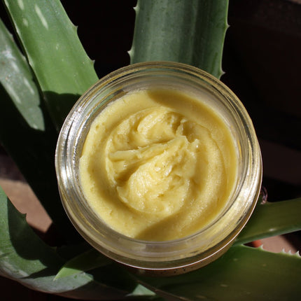 Anti Aging Night Cream Face Moisturizer Organic Green Tea