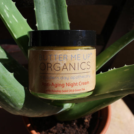 Anti Aging Night Cream Face Moisturizer Organic Green Tea