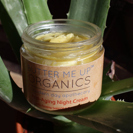 Anti Aging Night Cream Face Moisturizer Organic Green Tea