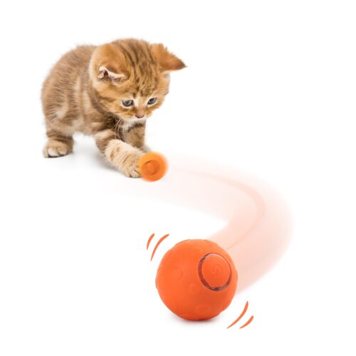 All For Paws Glow Thrill Jumping Ball Interactive Cat Ball Toys, Indestructible Soft Silicone Ball For Cats, Pet Training Ball For Cats Funny Balls With Usb Rechargeable