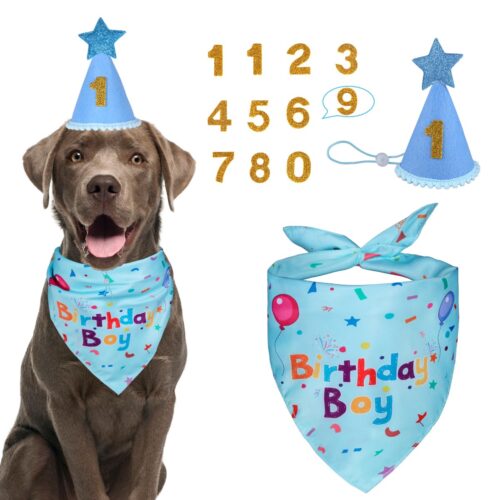 Dog Birthday Party Supplies, Dog Birthday Bandana Set, Dog Boy Girl Birthday Party Hat With Numbers For Large Medium Small Dogs Pet (Blue)