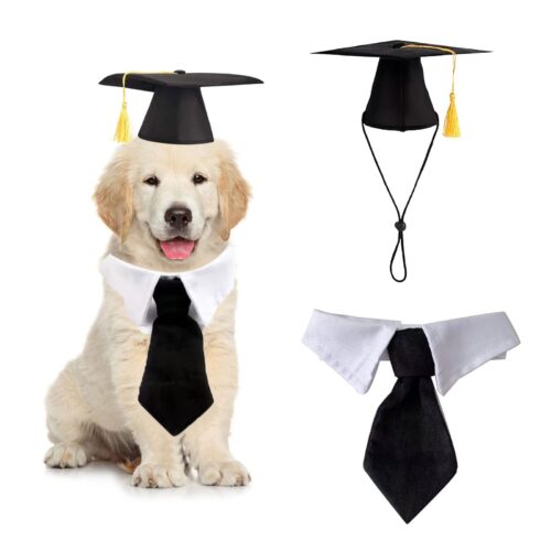 2 Pieces Pet Graduation Caps Black Cats Dog Graduation Hats With Necktie Pet Cosplay For Small Medium Large Dogs Cats Graduation Party Dress Costume Accessory