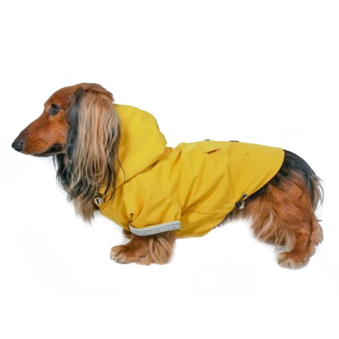 Django Highland Dog Jacket And Raincoat - Water-Repellent, Windproof, And Harness-Friendly Hooded Winter Dog Coat & Raincoat With Adjustable Drawstrings & Gunmetal Hardware (Large, Dandelion Yellow)
